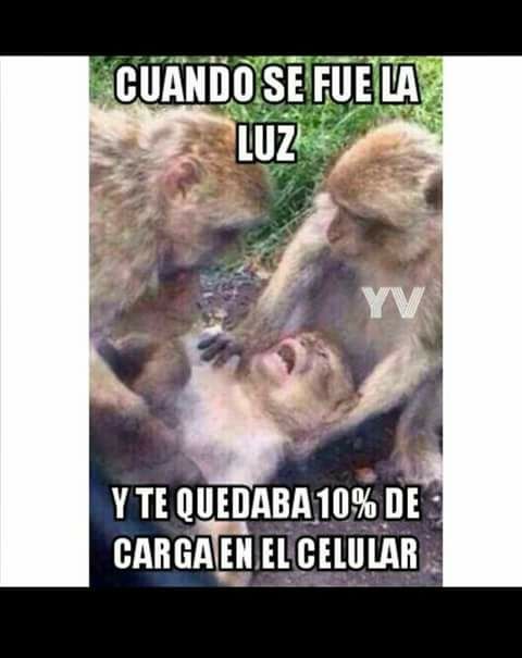 Los memes no respetan ni al apagón