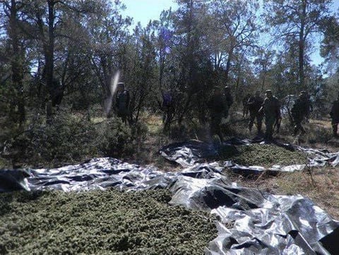 El pasado viernes 10 de noviembre se recibió una denuncia ciudadana, donde se informaba de un campamento de miembros de la delincuencia organizada en dicho municipio.