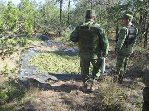 En el municipio de Tepehuanes, personal castrense logró asegurar ocho toneladas de marihuana, vehículos, armas, cargadores y equipo táctico.
