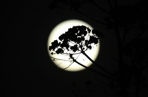 Diciembre es considerado como el mejor mes para observar fenómenos astronómicos debido a las bajas temperaturas.