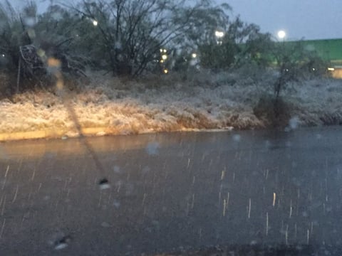 Tuiteros han compartido sus impresiones de la nevada.