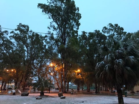 Así lucieron diversos puntos de Piedras Negras por la nevada.