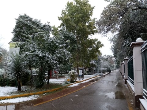 Se pronostica que las nevadas continuarán hasta el sábado.