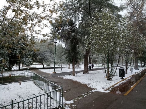 El blanco de la nieve.