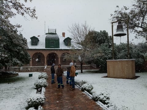 La nieve llegó a La Laguna.