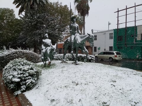 Nevada causa asombro y deleita a laguneros