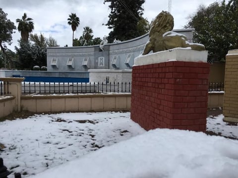 Nevada causa asombro y deleita a laguneros