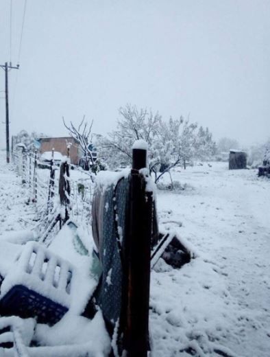 En el ejido Santa Eulalia, del municipio de Zaragoza, las bajas temperaturas ocasionaron que la nieve se hiciera presente.