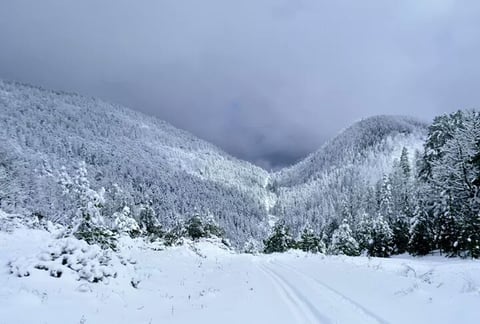 La sierra de Arteaga luciendo una bella postal.