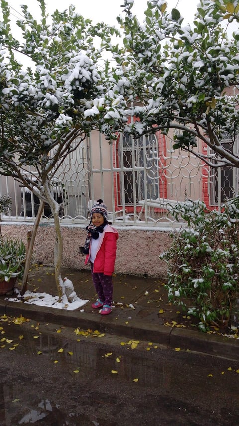 09122017 LINDA POSTAL.   Romina.