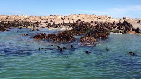 28122017 Gansbaai.