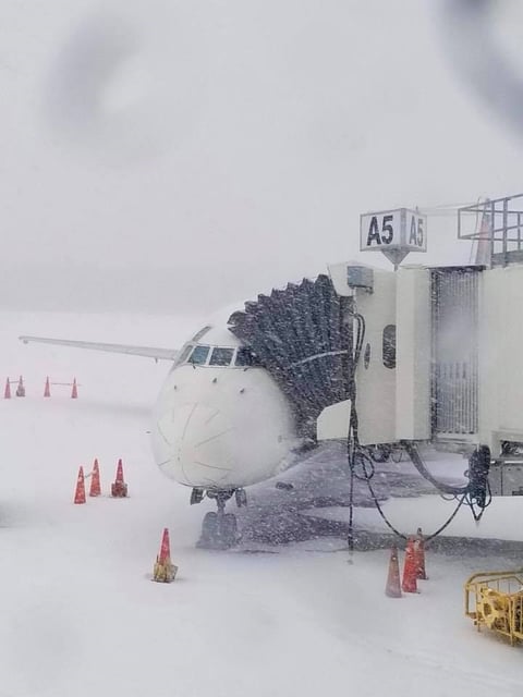 Aeropuertos como el de Charleston en Carolina del Sur, se han visto afectados.