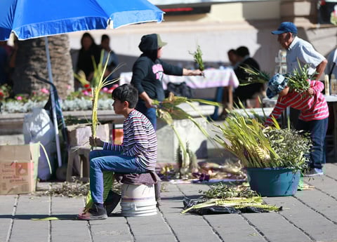 Para continuar con la tradición, ayer domingo se dieron cita cientos de fieles católicos en los distintos templos de la ciudad, hasta donde llegaron con palmas y ramas de olivo.