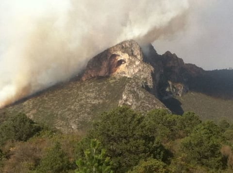 También se solicitó la ayuda de helicópteros al estado de Nuevo León y a la Comisión Nacional Forestal.