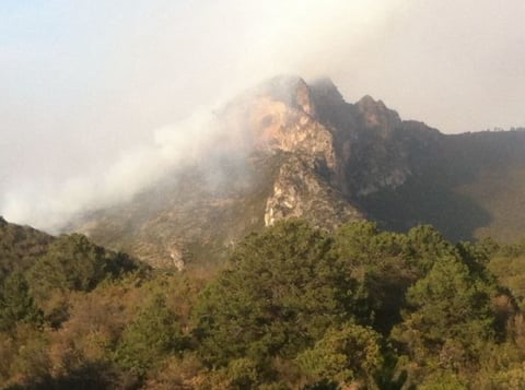 El Gobierno del Estado informó que al momento del incendio, se reportó una brigada de más de 100 personas que realizaron diversas labores de extinción y control.