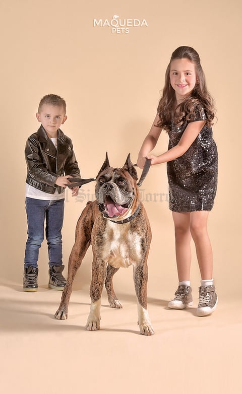 27052018 Miguel y Regina junto a Baxter, perro de raza bóxer. - Maqueda Pets