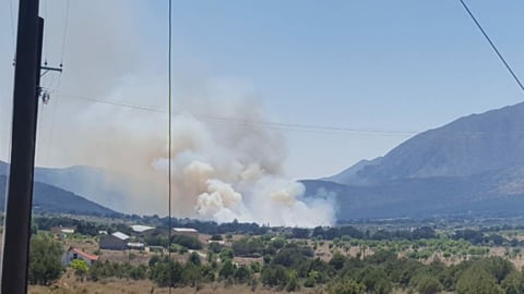 La Comisión Nacional Forestal (Conafor) señaló a través de su cuenta de twitter que al lugar se movilizó su personal, así como brigadas comunitarias y voluntarios para atender el incendio.