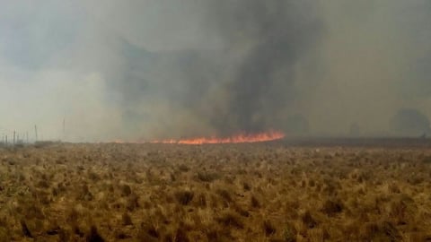Trascendió que debido a las condiciones de clima son adversas las posibilidades de combate.