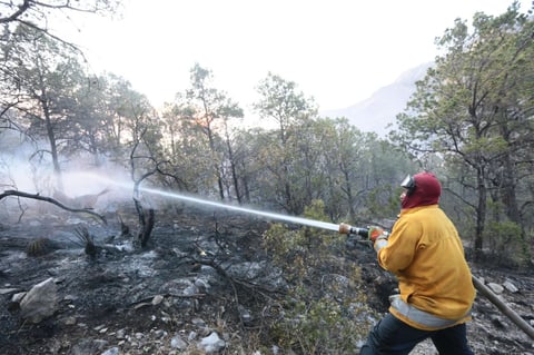 Elementos de bomberos han trabajado para apagarlo.