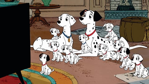 Estrenada en enero de 1961, la versión animada de 101 Dalmatas ha tenido modificaciones y nuevas adaptaciones por parte de Disney a lo largo de los años.