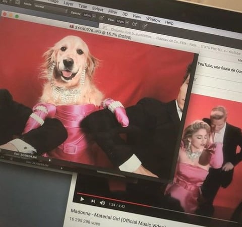 Maxdonna - Material Girl