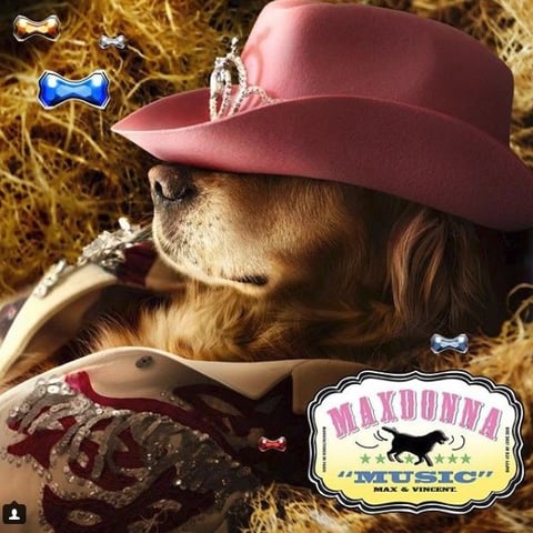 Maxdonna - Music