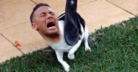 Internet 'explota' con los memes de la eliminación de Brasil