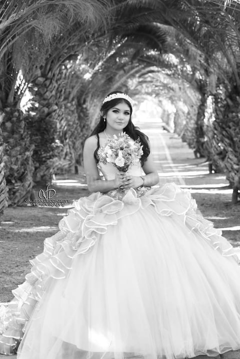 22072018 Karla Alvarado Salas. - Valeria Decarett