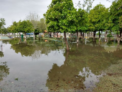 Incluso algunos parques no se quedaron atrás y sintieron los efectos de las lluvias.