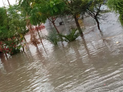 Las Carolinas