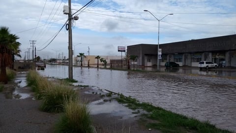 Fraccionamiento Castaños.