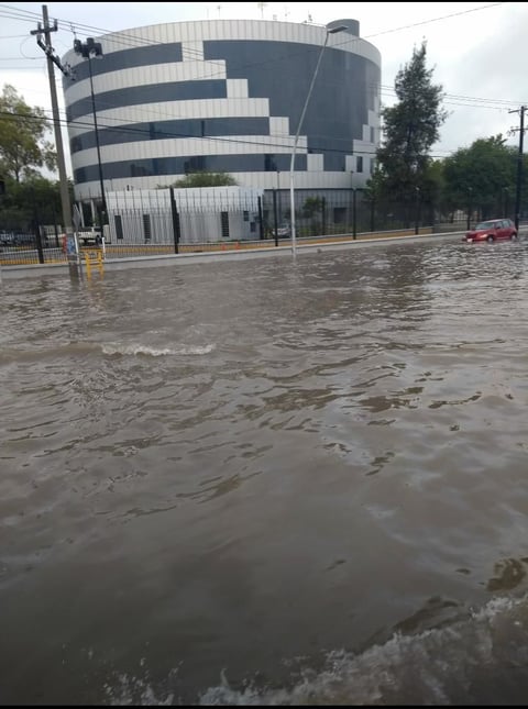 Paseo del Tecnológico.
