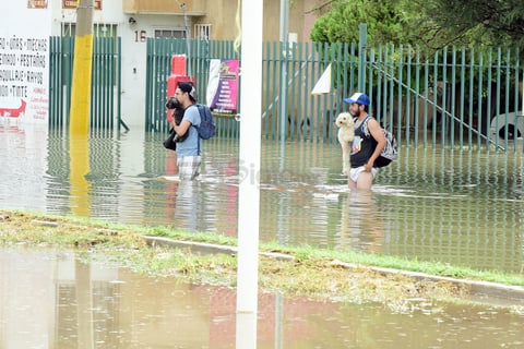 Jóvenes salvaron a las mascotas de la inundación.