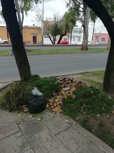 Paseo Las Alamedas. Después de realizar los trabajos de Jardinería, las autoridades suelen dejar la basura recolectada, lo que puede ocasionar que se disperse con la lluvia que se presente. (EL SIGLO DE DURANG0)