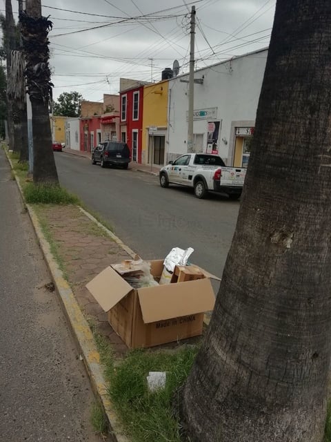 Avenida Belisario Domínguez. Siguen las costumbres de algunos locatarios y vecinos de la zona, de dejar basura en el camellón, con el fin de que el camión recolector pase por ella. (EL SIGLO DE DURANGO)