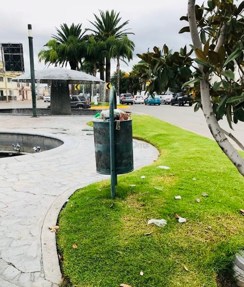 Bulevar Domingo Arrieta. Es necesario que la autoridad competente retire constantemente la basura de los contenedores públicos, para evitar que esta se disperse. (EL SIGLO DE DURANGO)
