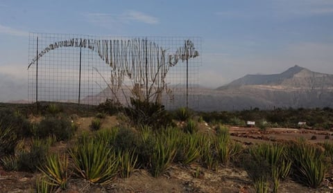 Los dinosaurios habitaron esta zona cuando era un mar, hace 73.5 millones de años en el periodo cretácico de la era Mezosoica.