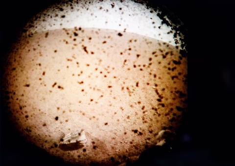La sala de control del Laboratorio de Propulsión de la NASA en Pasadena (California, EU) recibió hoy a las 11:53 horas local (19:53 GMT) la señal de que InSight se había posado en Marte.