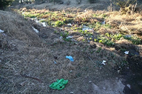 Decenas de familias acuden semanalmente a este "pulmón" de la ciudad, pero lejos de cuidarlo acuden a contaminarlo.