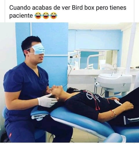 Los mejores memes de Bird Box