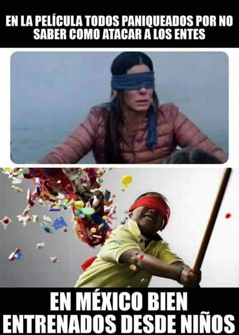 Los mejores memes de Bird Box