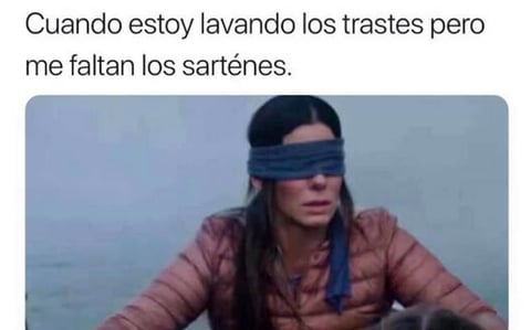 Los mejores memes de Bird Box