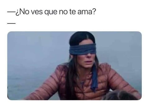 Los mejores memes de Bird Box