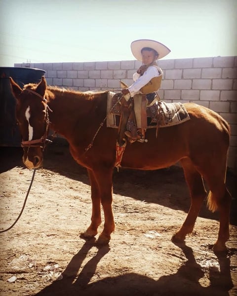 10012019 Francisco y Paquito.