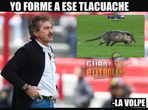 El 'Jarochito' desata los memes de la jornada 4