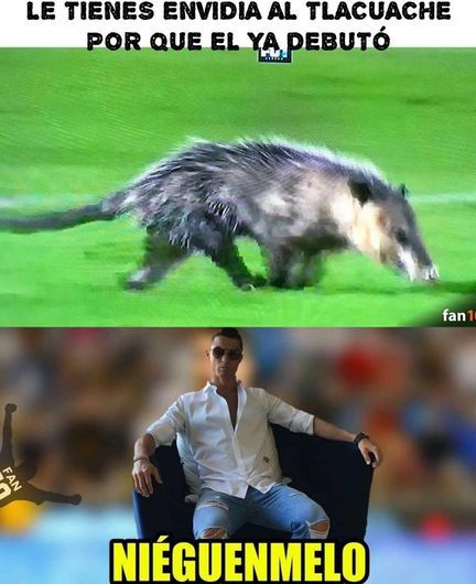 El 'Jarochito' desata los memes de la jornada 4
