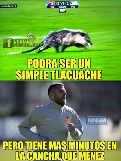 El 'Jarochito' desata los memes de la jornada 4