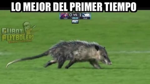 El 'Jarochito' desata los memes de la jornada 4