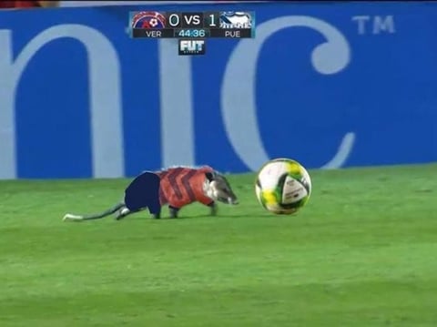 El 'Jarochito' desata los memes de la jornada 4