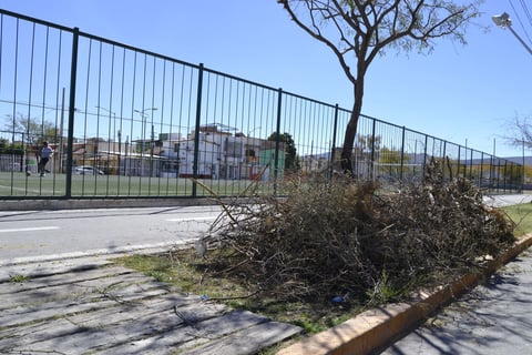 Ramas 'en el olvido'. Los montones de ramas generados por la poda de algunos árboles pueden durar meses a los costados de la Línea Verde. Este fin de semana se pudieron apreciar por lo menos tres montones a lo largo del parque.